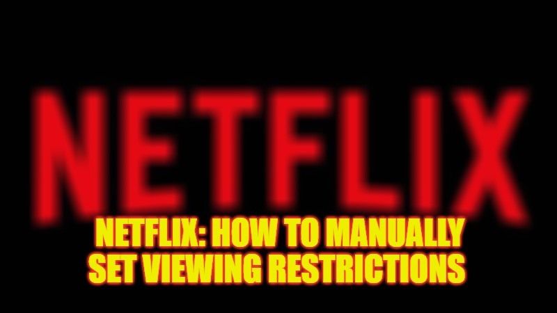 how to manually set viewing restrictions on netflix