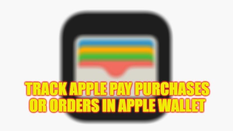 how to track apple pay purchases or orders in apple wallet