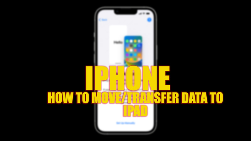 iPhone: How to move/transfer data to iPad