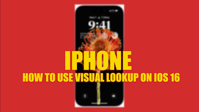 Используйте визуальный поиск на iPhone с iOS 16