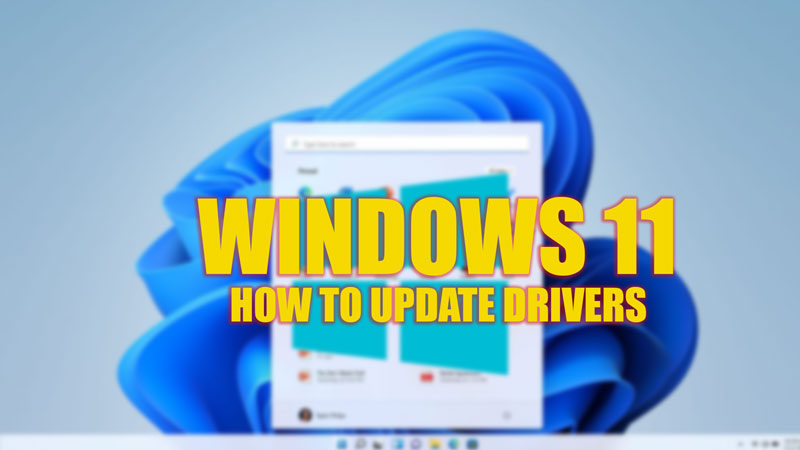 Windows 11: How to Update Drivers