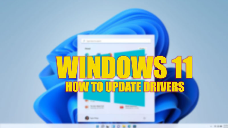 how to update your drivers on pc windows 11