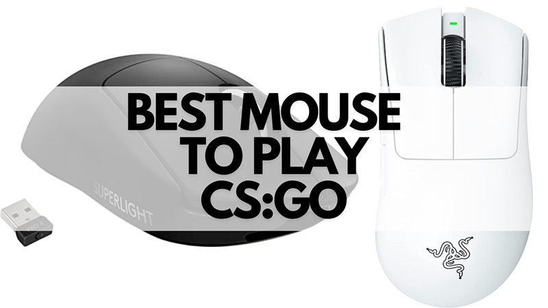 best mouse cs:go