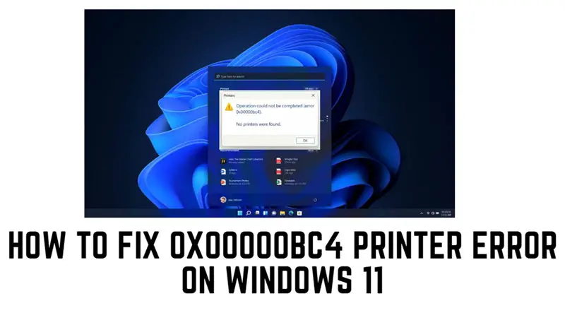 Fix Error Code 0x00000 Windows 11 Printer Error