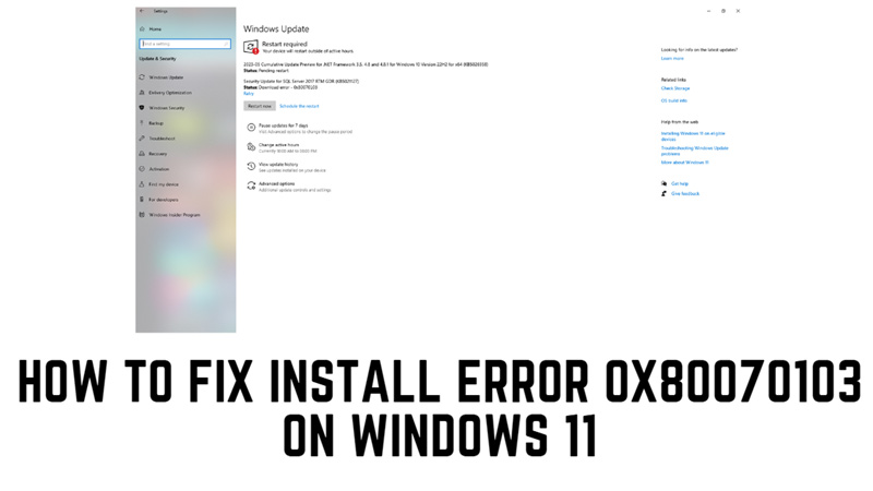 Fix Windows 11 Error Code 0x80070103