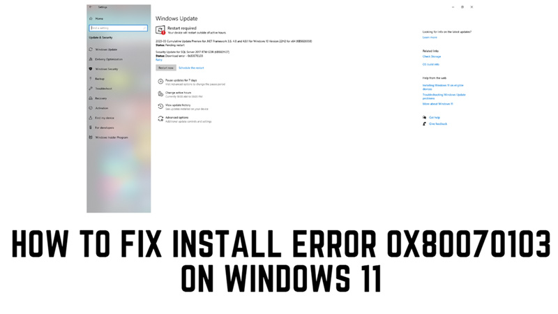 How to fix Install Error 0x80070103 on Windows 11?