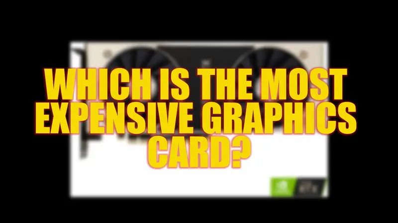 Most Expensive Graphics card