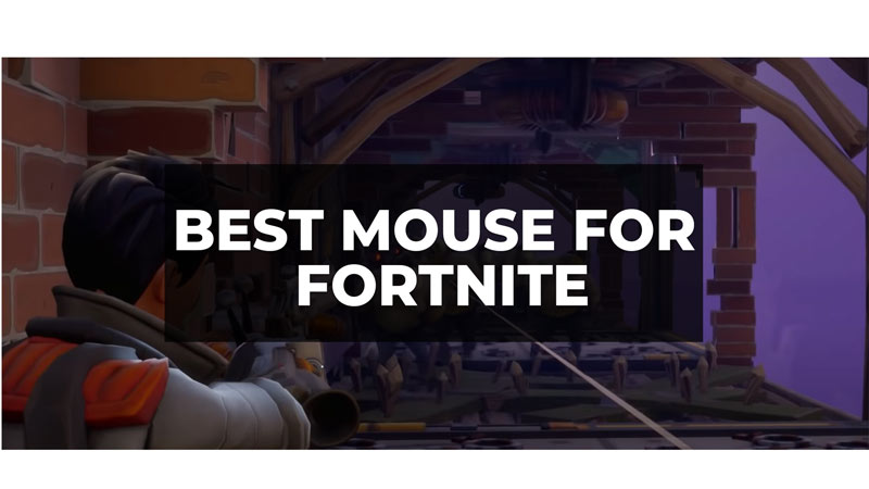 Best Mice to Play Fortnite