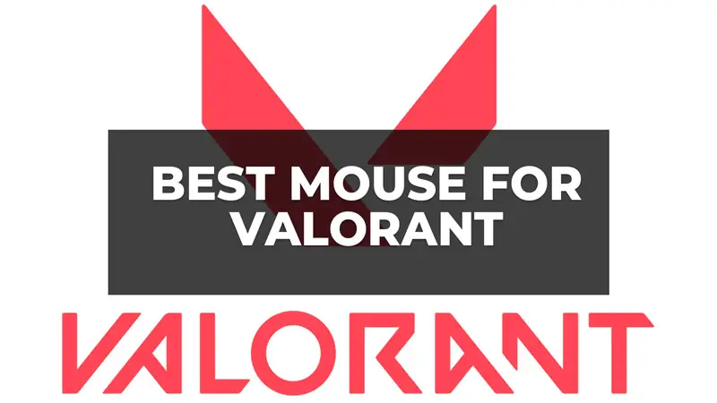 Best Mouse Valorant
