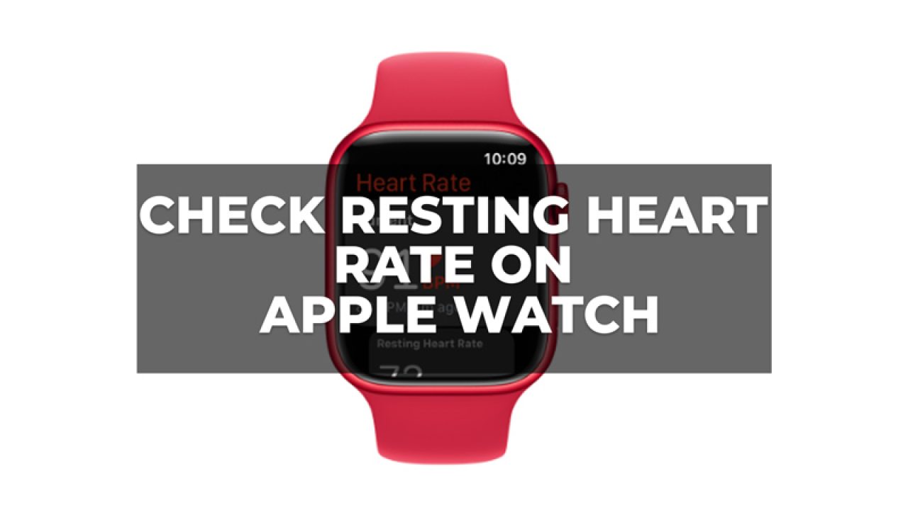 Apple watch resting heart rate hot sale