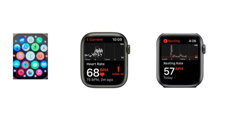 how-to-check-resting-heart-rate-on-apple-watch