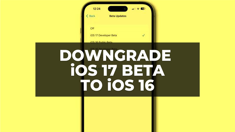 how to downgrade ios 17 beta to ios 16