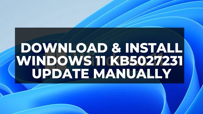 как вручную загрузить установить обновление Windows 11 kb5027231