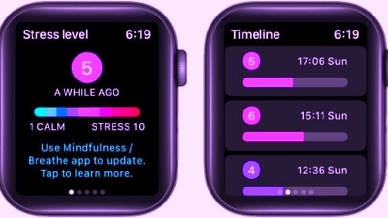 monitor or measure stress on apple watch