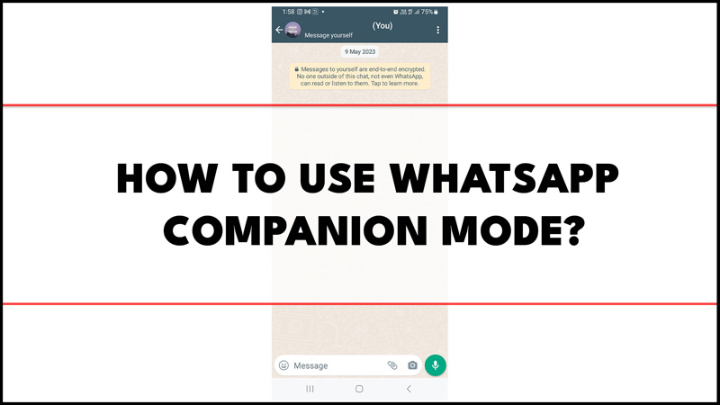 WhatsApp Companion Mode Android и iOS