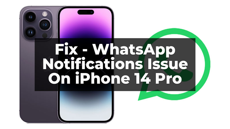 WhatsApp Notifications Issue