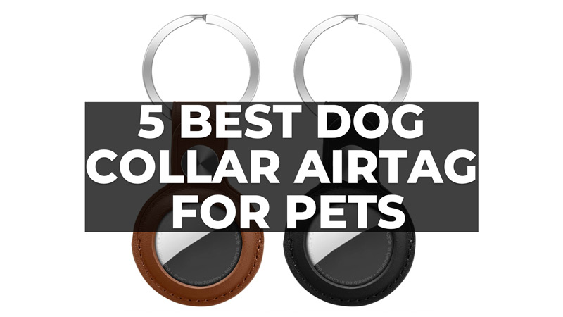 Best Dog Collar AirTag for Pets