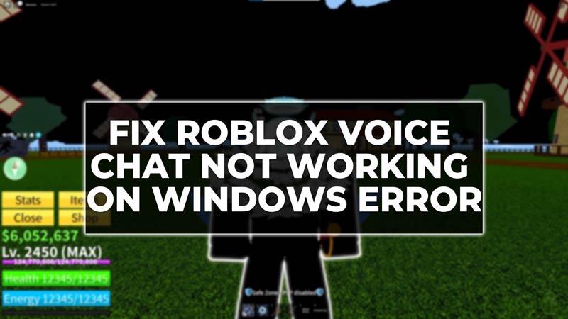Fix Roblox Voice Chat Not Working on Windows Error