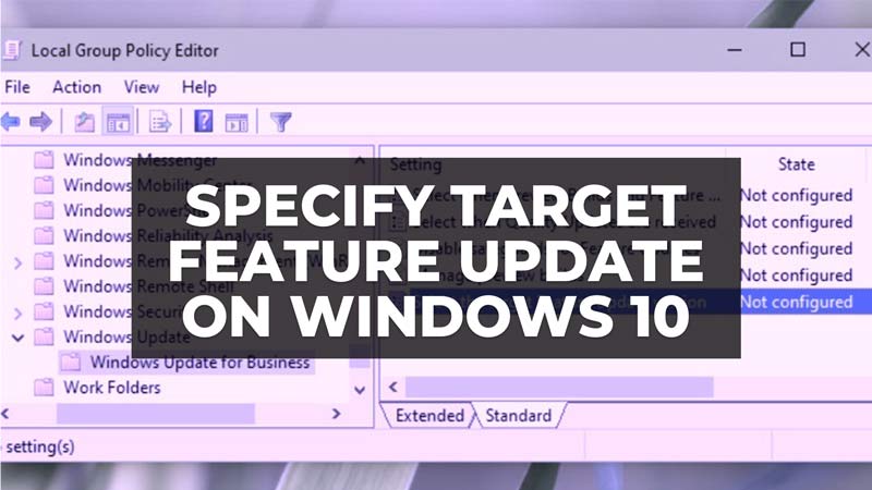 how to specify target feature update on windows 10